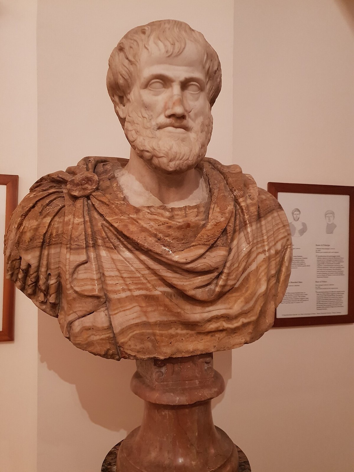 Μικρά Φυσικά, τόμος Α'