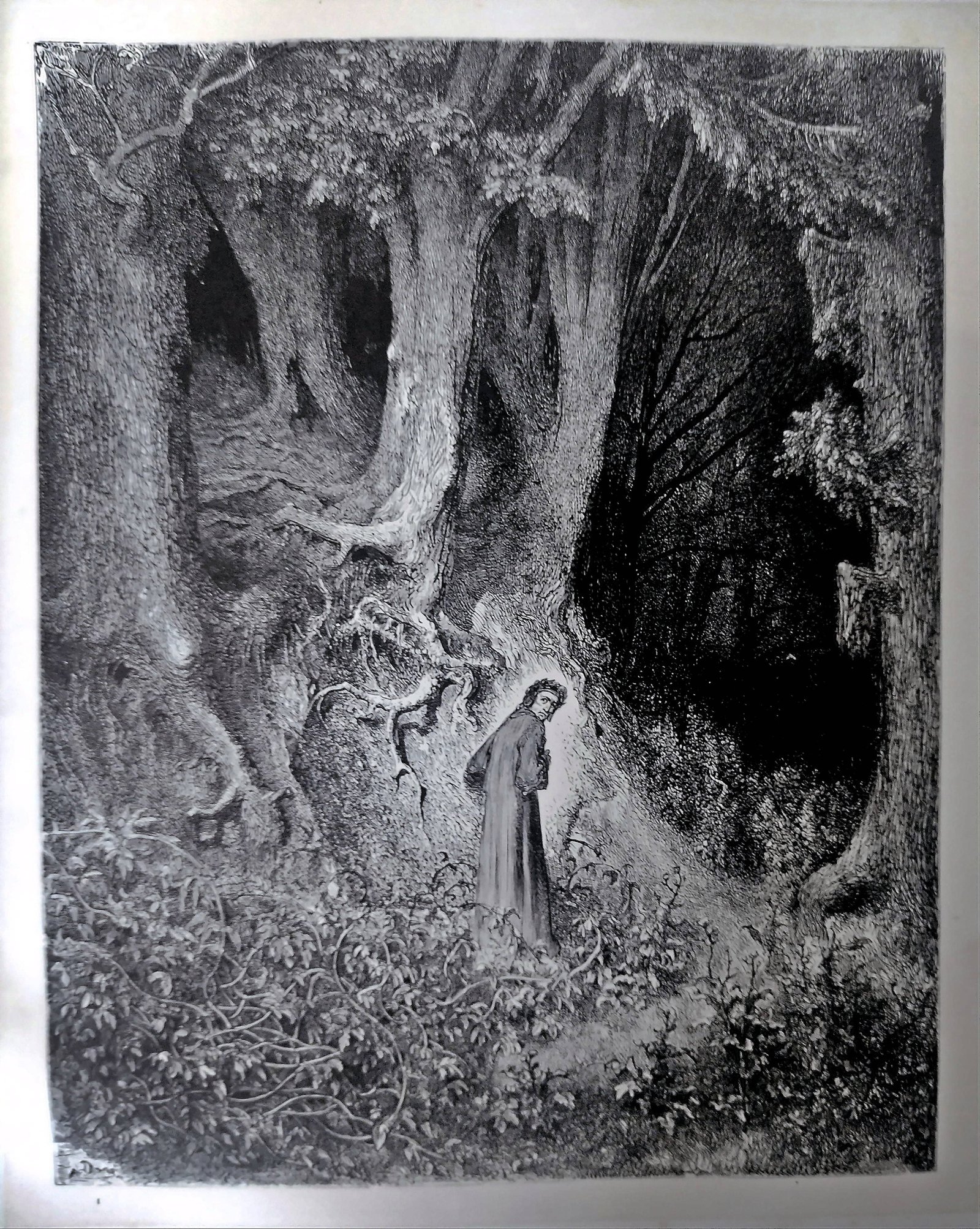 The Divine Comedy